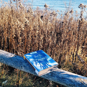 Screen Shot 2016-04-28 at 2.18.35 PM