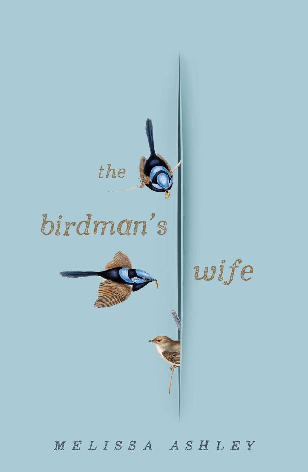 The Birdman's Wife by Melissa Ashley